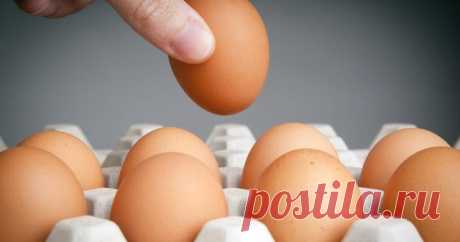 20 суперских фактов-подсказок, с которыми вы не пропадёте — Домашние заботы