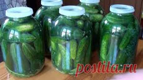 Необычные рецепты: консервация огурцов с водкой