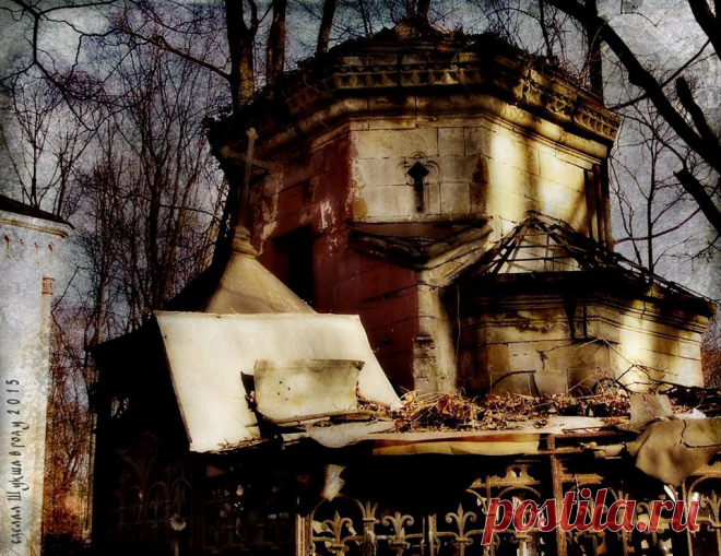 (1) Александр Гаврилов