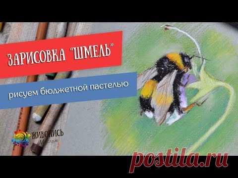 Мини мастер-класс "Шмель" бюджетной пастелью. Художник Юлия Капустина