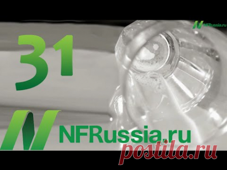 №31 Предотвращение рака путем подавления энзима TOR . Доктор Майкл Грегер. Русская озвучка