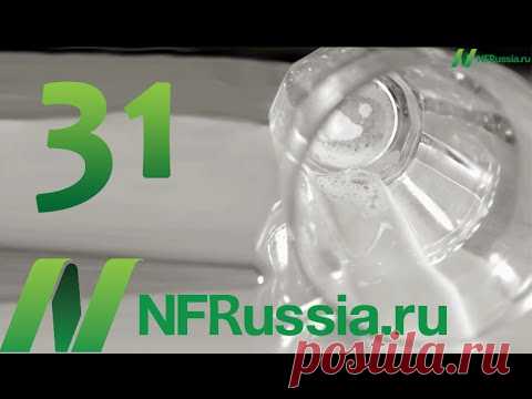 №31 Предотвращение рака путем подавления энзима TOR . Доктор Майкл Грегер. Русская озвучка