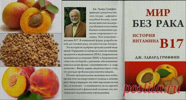 ВедаМост: Лечение рака витамином B17 (Лаэтрил или Амигдалин)