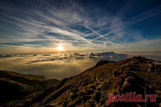 Это 3 самых конкурентоспособных знака зодиака. Вы один из них?
Телец Если вы родились под этим знаком, вам захочется быть лучшим во всем....
Читай пост далее на сайте. Жми ⏫ссылку выше