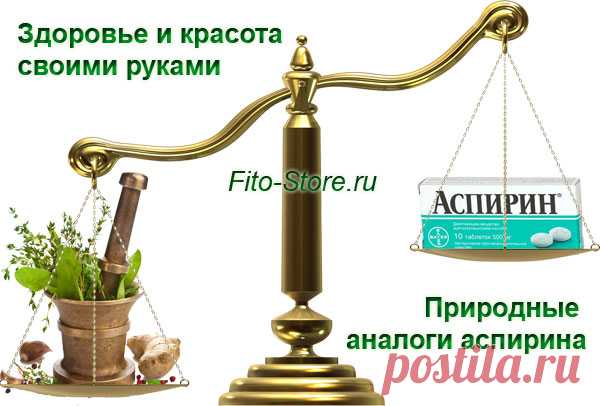 Природные аналоги аспирина | Здоровье и красота в домашних условиях