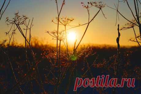 ФОТОМАСТЕРСКАЯ ПРИРОДЫ
Владимир Фефелов