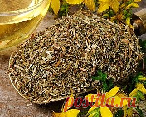 Целебные травы (зверобой) для очищения печени.