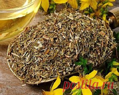 Целебные травы для очищения печени