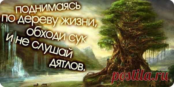в точку!