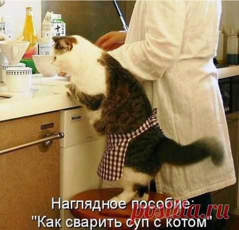 серые будни