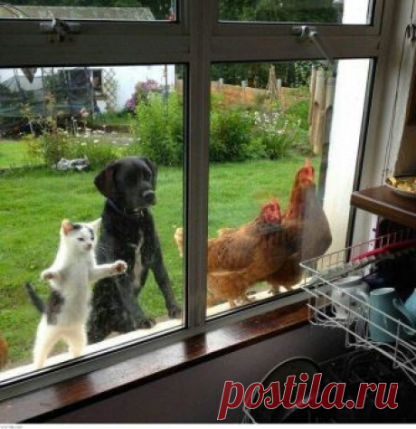Мой Мир@Mail.Ru