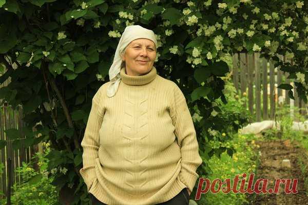 Ошибки, которые допускают даже опытные огородники. Часть 1 | Огородные хитрости | Яндекс Дзен