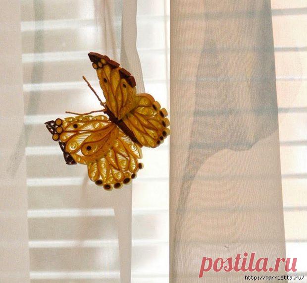 БАБОЧКА в технике квиллинг