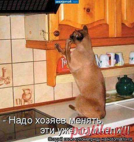 Хи-хи-хи...ржака!
Василий Яшенев