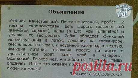 Интересные новости