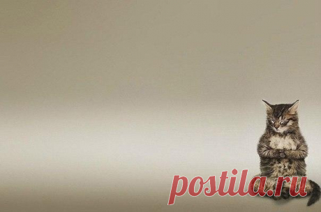 Запись на стене Буддист и Депрессия.Депрессия: - Ты - ничто.Буддист: - Благодарю за комплимент.Д.: - Твоя жизнь пуста, в ней нет ничего хорошего.Б.: - Если она пуста, то в ней нет и плохого тоже. Выходит, что я свободен.Д.: - Любви нет. Добра нет. Радости нет.Б.: - Однозначно. В рамках данной реальности существуют лишь навязчивые иллюзии, продиктованные человеческим Эго. Мы сами их творцы.Д.: - Над этим миром нависло Страдание.Б.: - Но с...