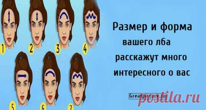 Размер и форма вашего лба расскажут много интересного о вас