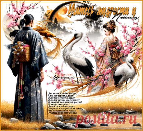 Учитесь мудрости у птиц... ~ Открытки ~ МУЗЫКА