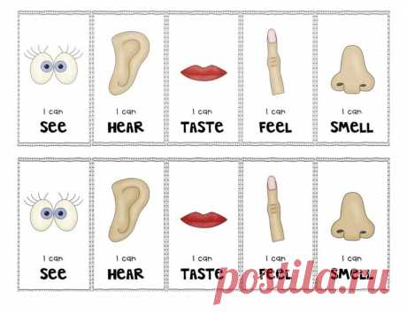 worksheets for kindergarten body parts: 24 тыс изображений найдено в Яндекс.Картинках