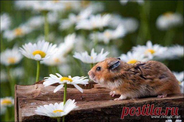 Дозирование лекарств. Дозировка для детей