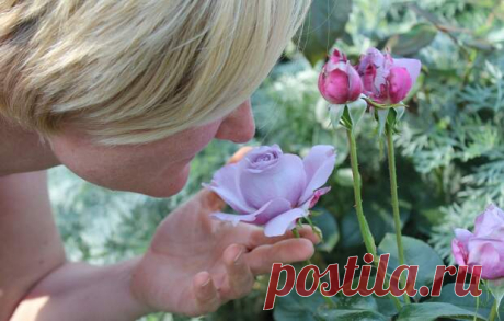 Названы неожиданные симптомы болезни Паркинсона
Заведующая неврологическим отделением для больных с нарушениями мозгового кровообращения больницы № 52 Вера Пшеничникова назвала первые признаки болезни Паркинсона. По её словам, заболевание начинается задолго до проявления тремора рук. Прежде всего следует насторожиться при потере обоняния и снижении работоспособности. «Эти симптомы могут длиться...
Читай дальше на сайте. Жми подробнее ➡