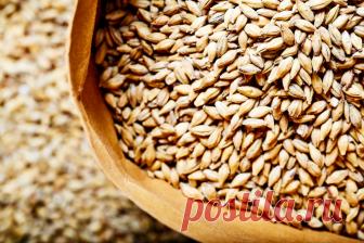 Ячневая крупа входит в топ самых полезных зерновых культур: в ней в несколько раз больше белка, клетчатки и витаминов, чем в гречке и рисе.