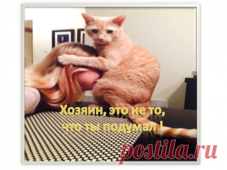(20) Одноклассники