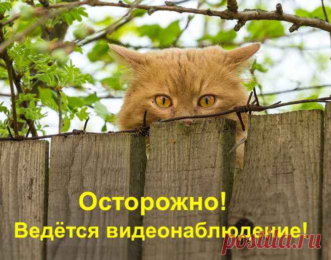 Мой Мир@Mail.Ru