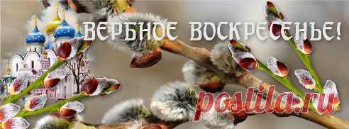 Одноклассники 
#вербное_воскресенье #праздник светлый !  
http://obuchaemuspekhu.ru/