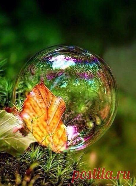 ♥ ЖИВОТНЫЕ ♥ ПРИРОДА ♥