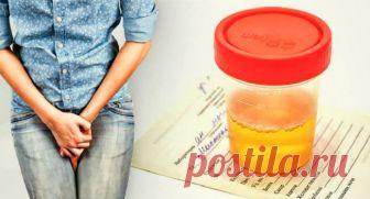 Домашние средства, спасающие от инфекций мочевыводящих путей Инфекции мочевыводящих путей причиняют огромные неудобства и довольно опасны. Предлагаем вам 15 натуральных средств для излечения.