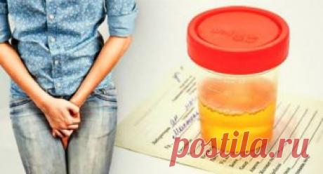 Домашние средства, спасающие от инфекций мочевыводящих путей Инфекции мочевыводящих путей причиняют огромные неудобства и довольно опасны. Предлагаем вам 15 натуральных средств для излечения.