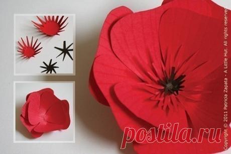 Красный мак