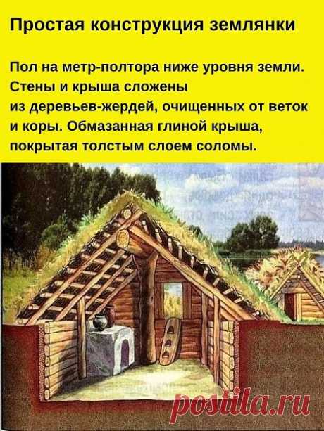 2911482117.jpg (450×600)