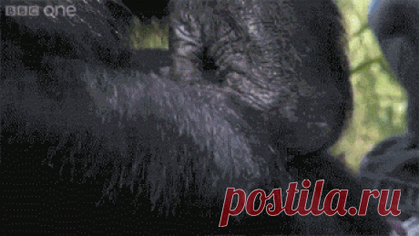 Популярное – Google+