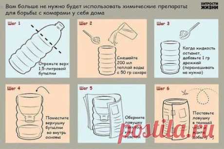(2) Одноклассники