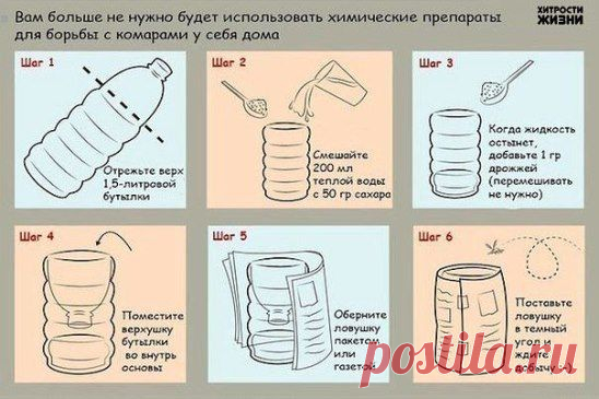 (2) Одноклассники