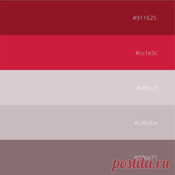 Красные оттенки

Больше сочетаний красных оттенков. Скачать для вдохновения
#цветоваяпалитра #сочетаниецветов #вдохновениецветом #красныйцветсочетание #кодцвета #colormood #colorinspiration #redcolor #colorpalette