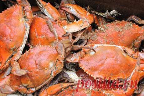 В России задержали браконьеров с крабами на сумму более 7 миллионов рублей. Пограничники в Охотском море задержали Камчатское рыболовецкое судно с незаконно добытыми 1,5 тоннами крабов на сумму свыше 7 миллионов рублей. В частности, были обнаружены 773 особи общим весом более 1,3 тысячи килограмм и около 180 килограмм обработанных конечностей камчатского краба. По факту произошедшего