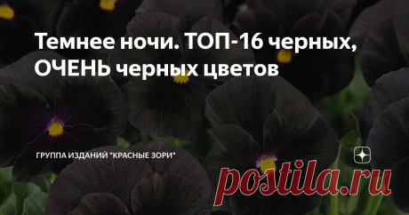 Темнее ночи. ТОП-16 черных, ОЧЕНЬ черных цветов Как вы, наверняка, помните, в природе не существует черного цвета. То, что кажется нам черным, в действительности имеет глубокий коричневый, синий, красный, темно-бардовый или темно-фиолетовый оттенок. Ну и еще, конечно, тёмные цветы в дикой природе просто не выживут – они стремительно выгорают на солнце, а значит, не успевают выполнить свое главное предназначение – опыление, да и насекомых не очень привлекают. Но людям многи...
