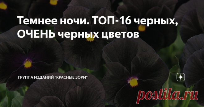 Темнее ночи. ТОП-16 черных, ОЧЕНЬ черных цветов Как вы, наверняка, помните, в природе не существует черного цвета. То, что кажется нам черным, в действительности имеет глубокий коричневый, синий, красный, темно-бардовый или темно-фиолетовый оттенок. Ну и еще, конечно, тёмные цветы в дикой природе просто не выживут – они стремительно выгорают на солнце, а значит, не успевают выполнить свое главное предназначение – опыление, да и насекомых не очень привлекают. Но людям многи...