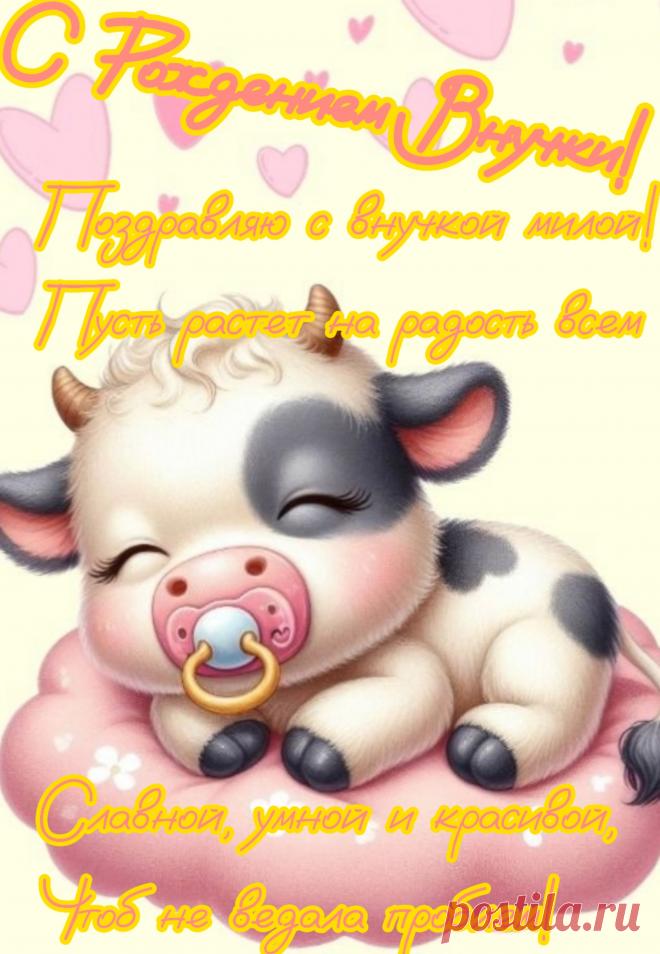 С новорожденной внучкой сегодня,
От всего сердца вас поздравляю.
Любить ее ласково нежно,
Холить и лелеять желаю.