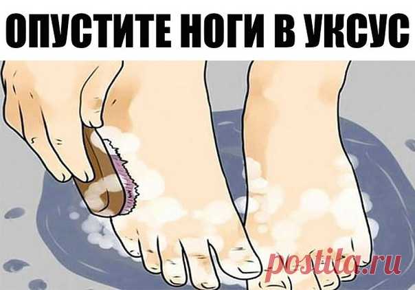 Опустите ноги в яблочный уксус — и болезни уйдут! Это просто восхитительно! 
Одно из самых мощных и нетактичных средств — это яблочный уксус. Найти его можно в любом продуктовом магазине, а преимущества, которые он дает, просто фантастические! 

Нефильтрованный, непастеризова…