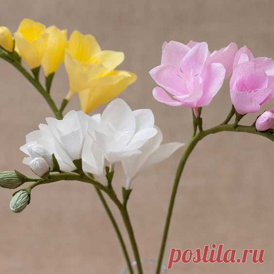 Pinterest (Пин) (86)