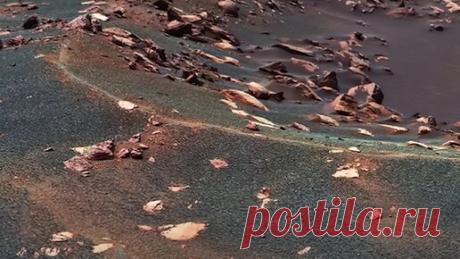 Статьи, новости и видео от популярных блогеров и СМИ | Будь в теме — будь в Дзене