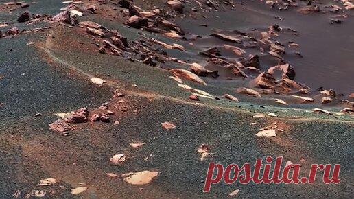 Статьи, новости и видео от популярных блогеров и СМИ | Будь в теме — будь в Дзене