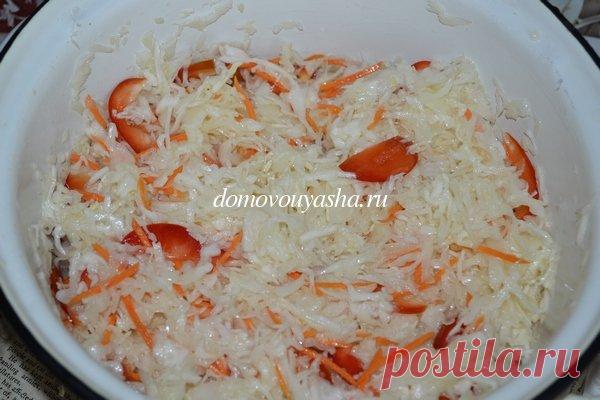 Капуста быстрого приготовления с уксусом и маслом. Рецепт с фото | Народные знания от Кравченко Анатолия