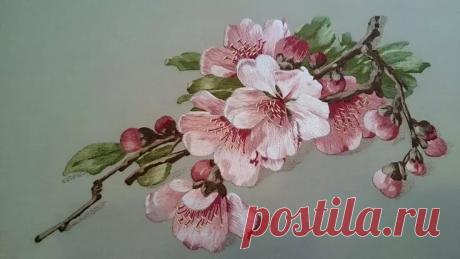 рисунки цветущих яблонь — Яндекс: нашлось 3 млн результатов