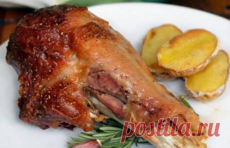 Голень индейки в духовке - рецепт с фото / Простые рецепты