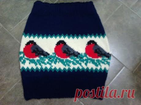 Теплая юбка со снегирями , ч.1.  Warm skirt with bullfinches, р.1.  Knitting
